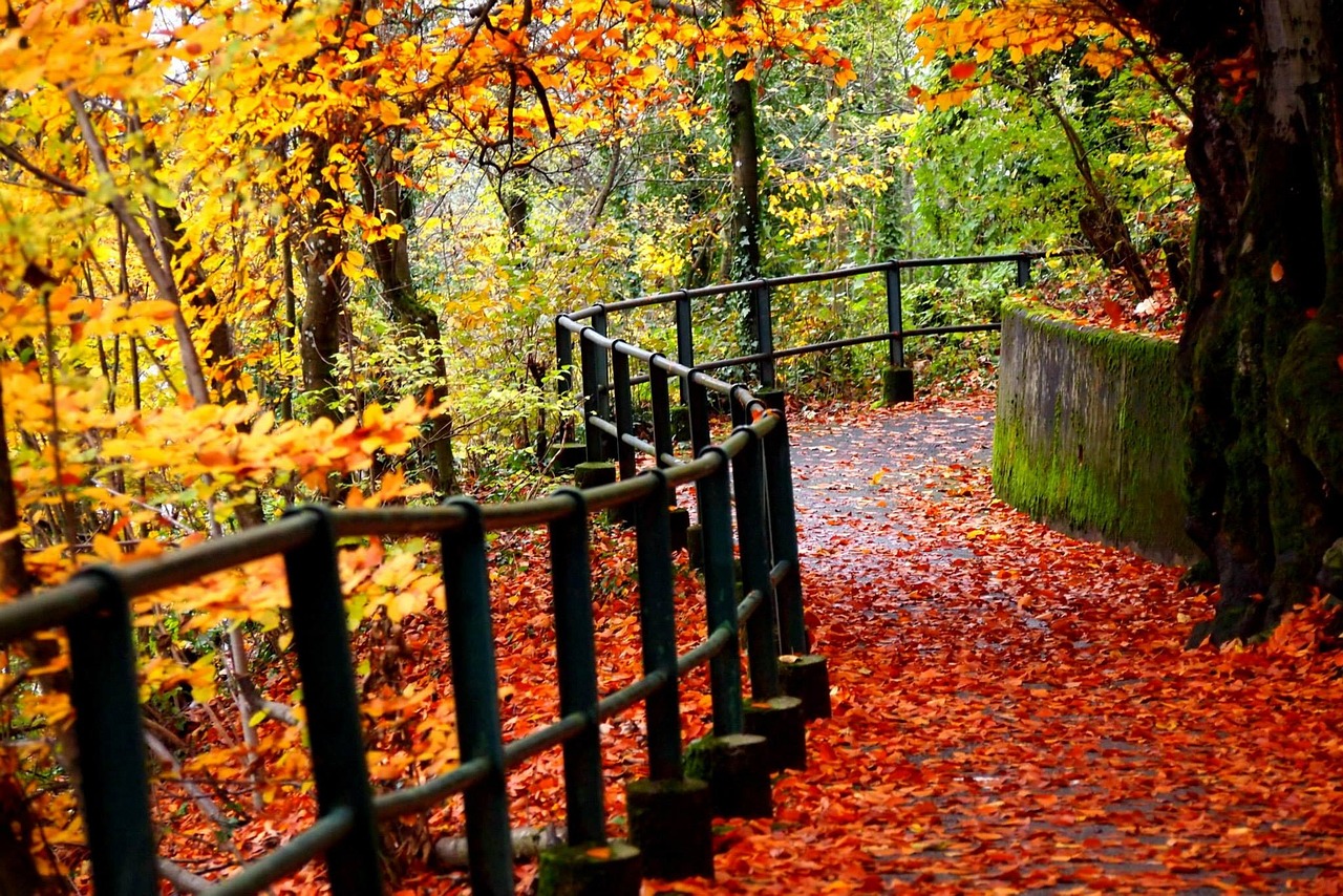 Autumn Path